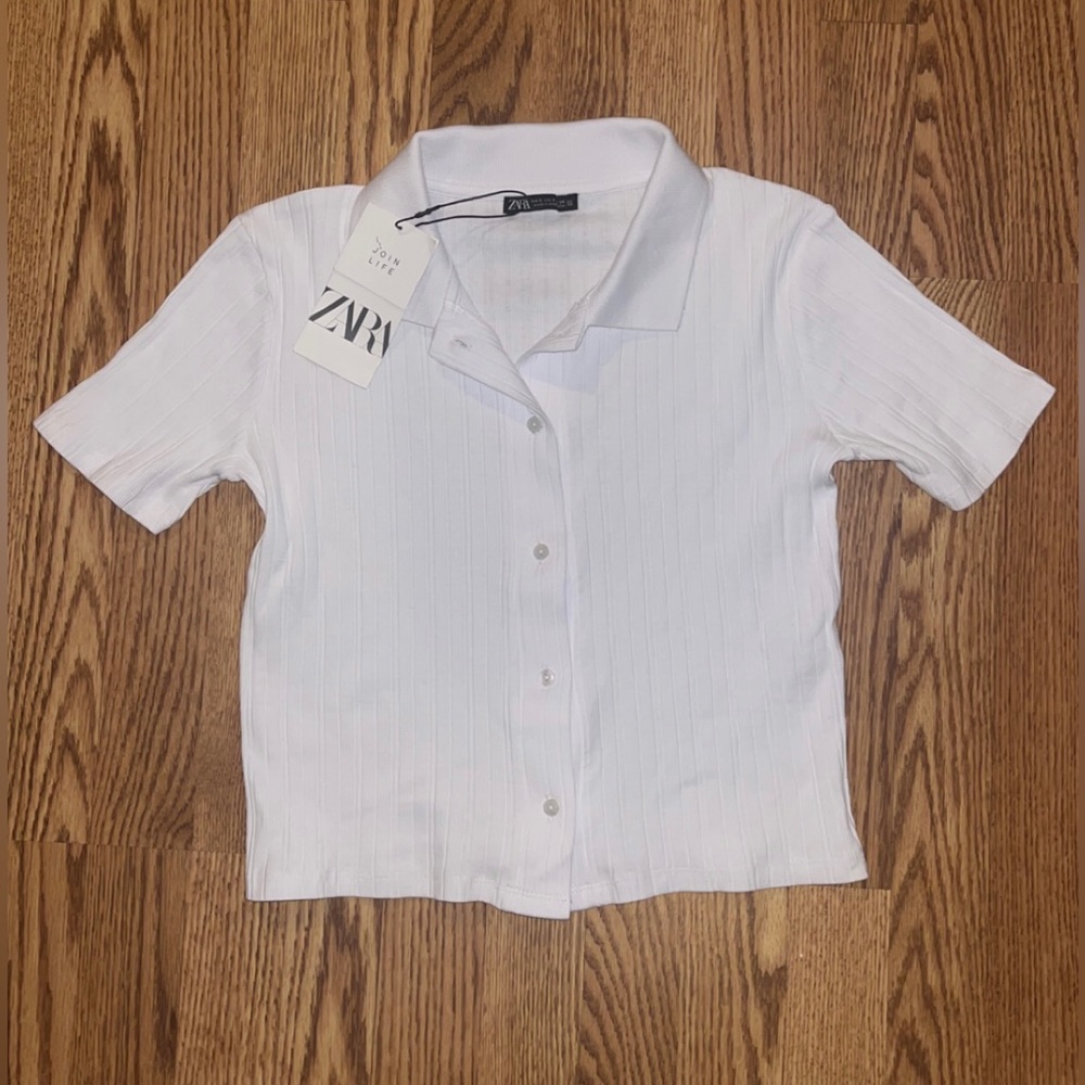 Zara button down crop top
